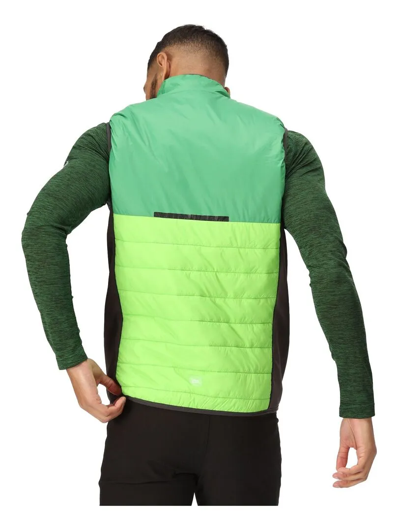 Regatta - Veste sans manches HALTON BAFFLED - Vert clair